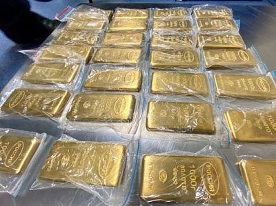 во внуково задержали граждан армении и россии, пытавшихся вывезти 225 кг золота на 800 млн рублей